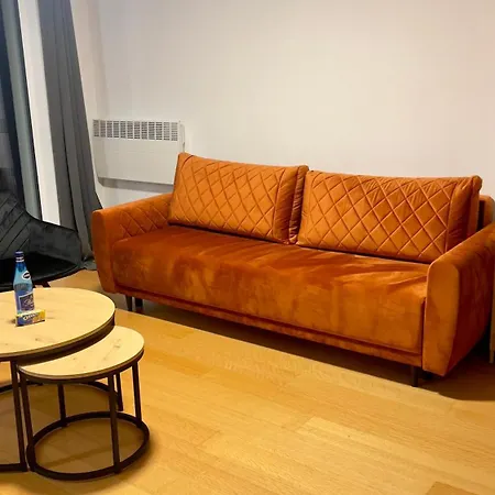 Dabrowka Beauty - W Parku Lesnym , Sauna