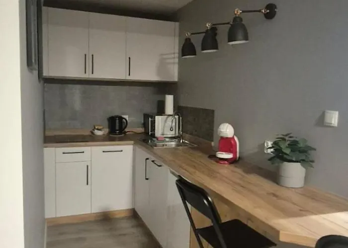 Appartement Dabrowka Beauty - W Parku Lesnym , Sauna